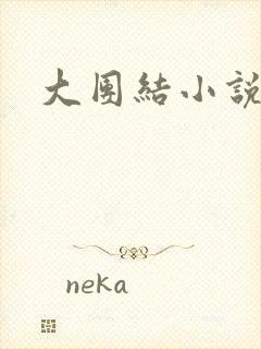 大团结小说阅读