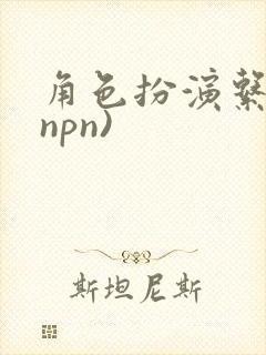 角色扮演系统(npn)