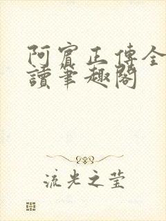 阿宾正传全文阅读笔趣阁