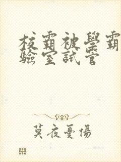 校霸被学霸压实验室试管