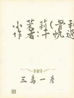 小茉莉(骨科)作者:千帆过尽封面