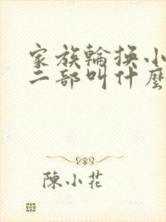 家族轮换小说第二部叫什么名字