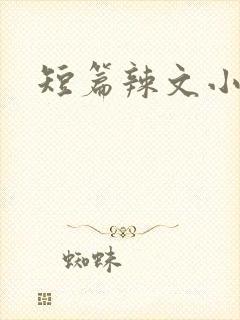短篇辣文小说封面
