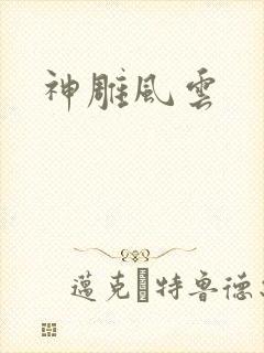 神雕风云