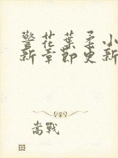 警花叶柔小说最新章节更新