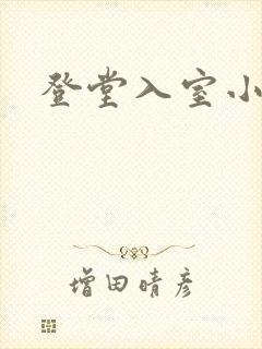 登堂入室小说