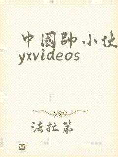 中国帅小伙gayxvideos封面