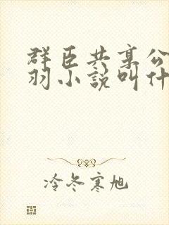 群臣共享公主银羽小说叫什么封面