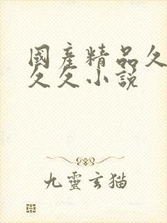 国产精品久久久久久小说