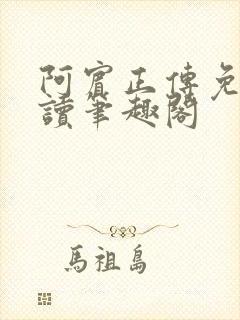 阿宾正传免费阅读笔趣阁