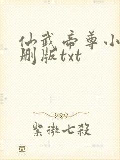 仙武帝尊小说未删版txt