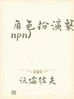 角色扮演系统(npn)