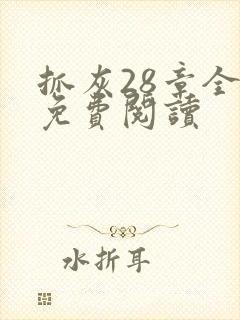 抓灰28章全部免费阅读