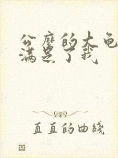 公么的大龟强大满足了我封面