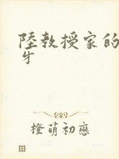 陆教授家的小月牙