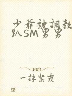 少爷被调教室跪趴SM男男