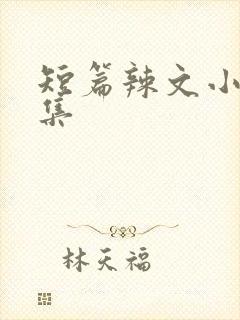 短篇辣文小说合集