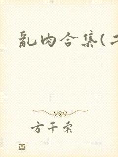 乱肉合集(二)封面
