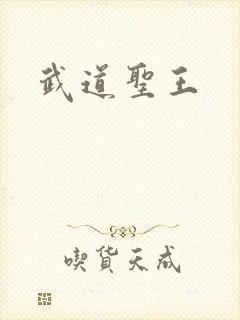 武道圣王封面
