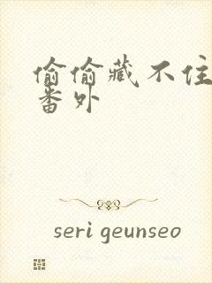 偷偷藏不住新婚番外