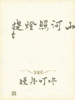 提灯照河山txt封面