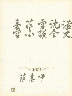 秦菲雪沈浩秦菲雪小说全文免费阅读求书