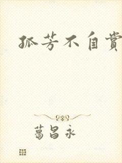 孤芳不自赏小说封面
