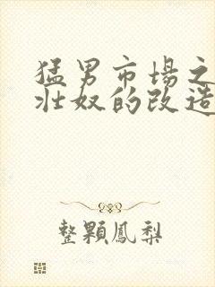 猛男市场之肌肉壮奴的改造