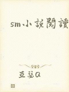 sm小说阅读