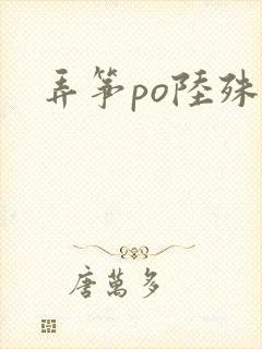 弄筝po陆殊词封面