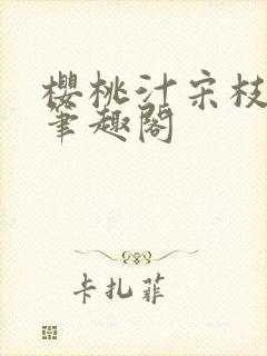 樱桃汁宋枝江野笔趣阁