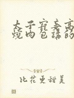 太子宠妾高肉红烧肉包讲的什么