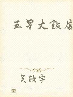 五星大饭店小说