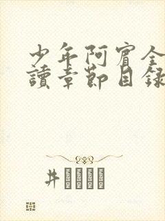 少年阿宾全文阅读章节目录