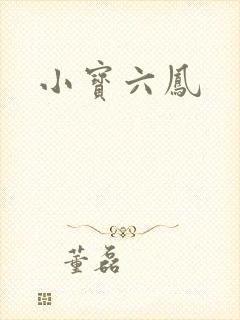 小宝六凤