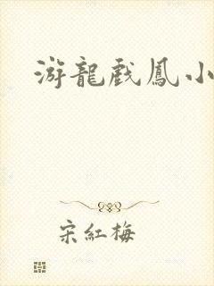 游龙戏凤小说封面