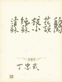 清纯校花的日常苏苏小说阅读全文