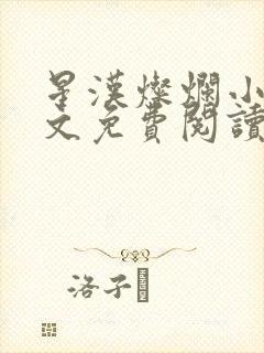 星汉灿烂小说全文免费阅读