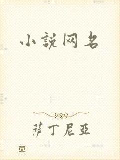 小说网名封面