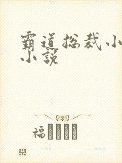 霸道总裁小娇妻小说封面