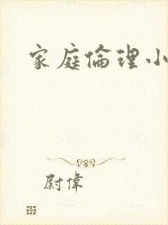 家庭伦理小说封面