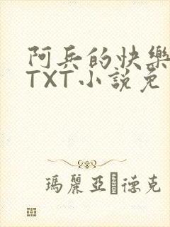 阿兵的快乐生活TXT小说免费阅读全章封面