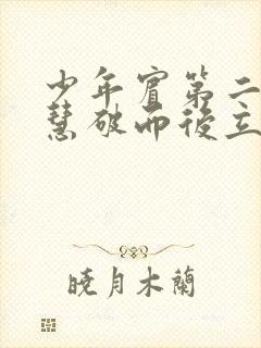 少年宾第二部珏慧破而后立封面