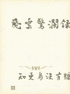 飞云惊澜录