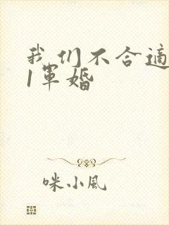 我们不合适1v1军婚