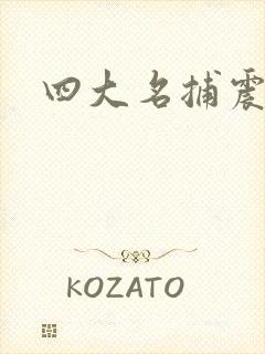 四大名捕震关东