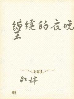 缠绕的夜晚双男主