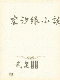 宸汐缘小说封面