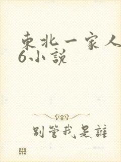 东北一家人1一6小说