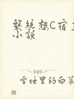 系统想C宿主的小说